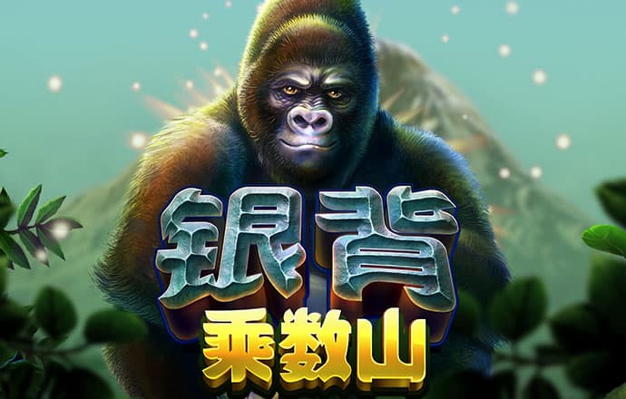 解说：文班很多动作难说是否提前想好的 这是特属于外星人的能力
